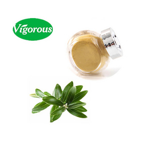 Vigorous supply organic olive leaf extract 30% Maslinic Acid