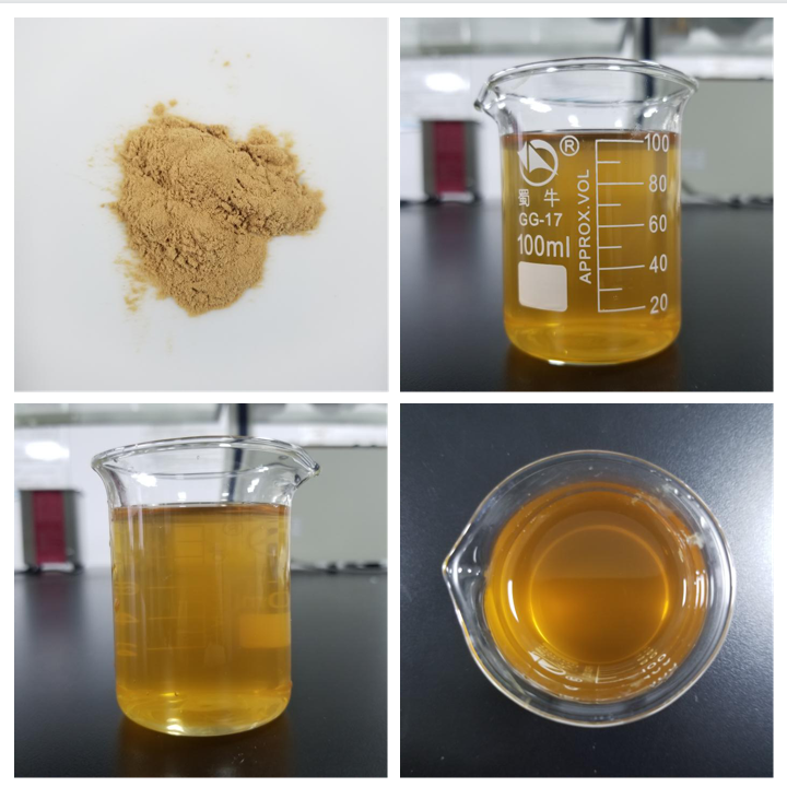 high quality Phlomis umbrosa powder 10:1 Phlomis umbrosa Turcz extract