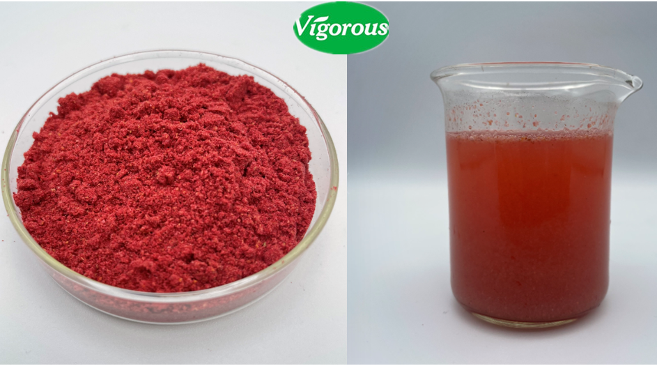 Pure Natural Freeze Dried Organic Raspberry Ketone Extract Powder