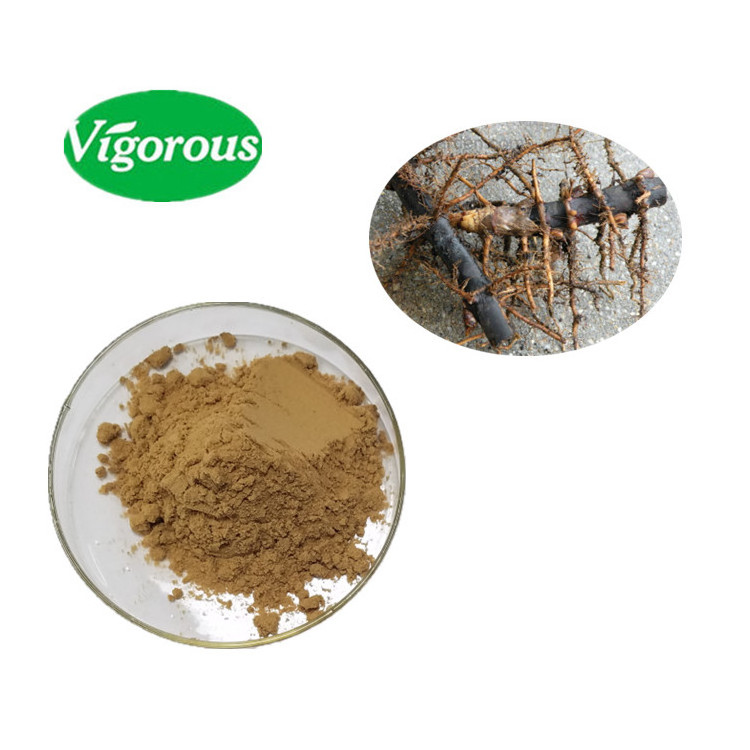 Organic Phyllostachys nigra (Lodd.) Munro.  health herb Black Bamboo Root Extract powder