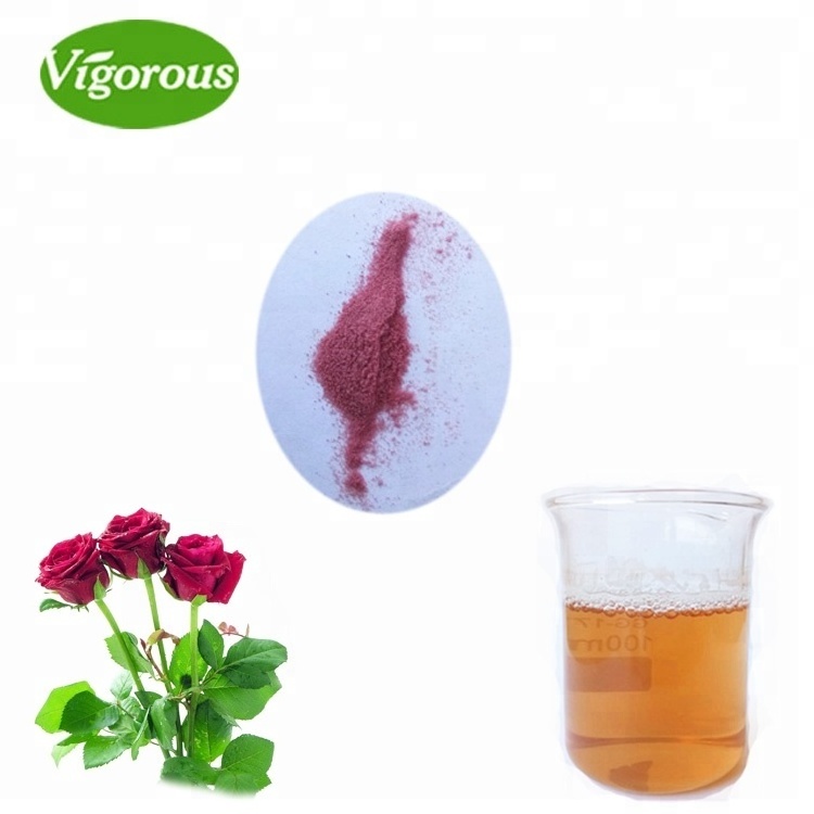 Pure Natural Good Solubility Rose Petal Extract Powder