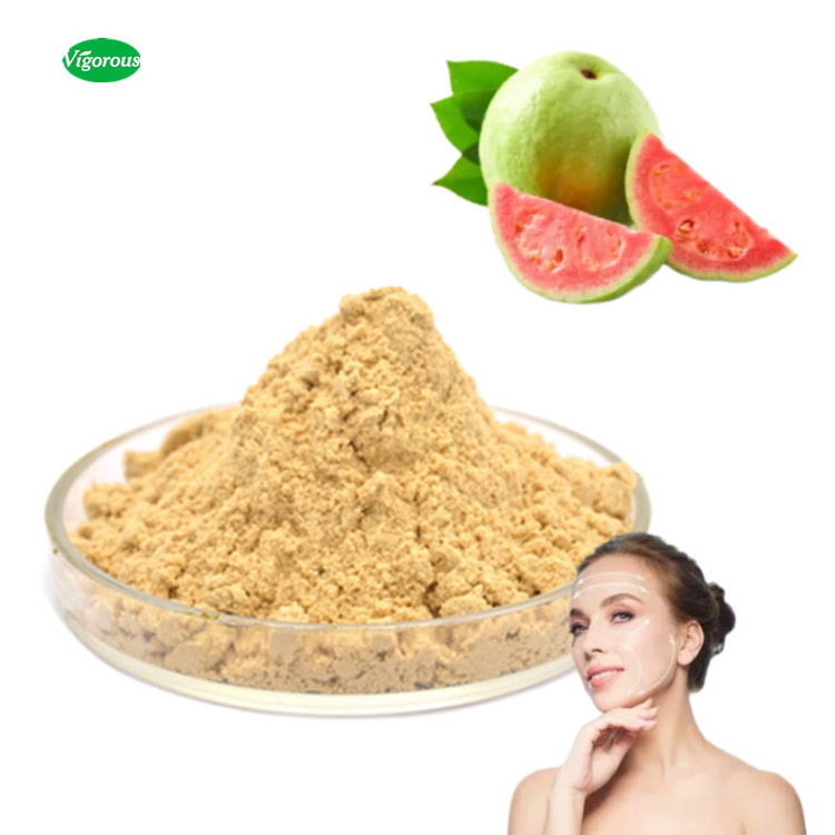 High quality 10:1 Psidium guajava guava fruit extract powder