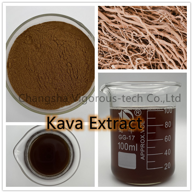 Free Sample 30% Kavalactones Kava Kava Root Extract Powder