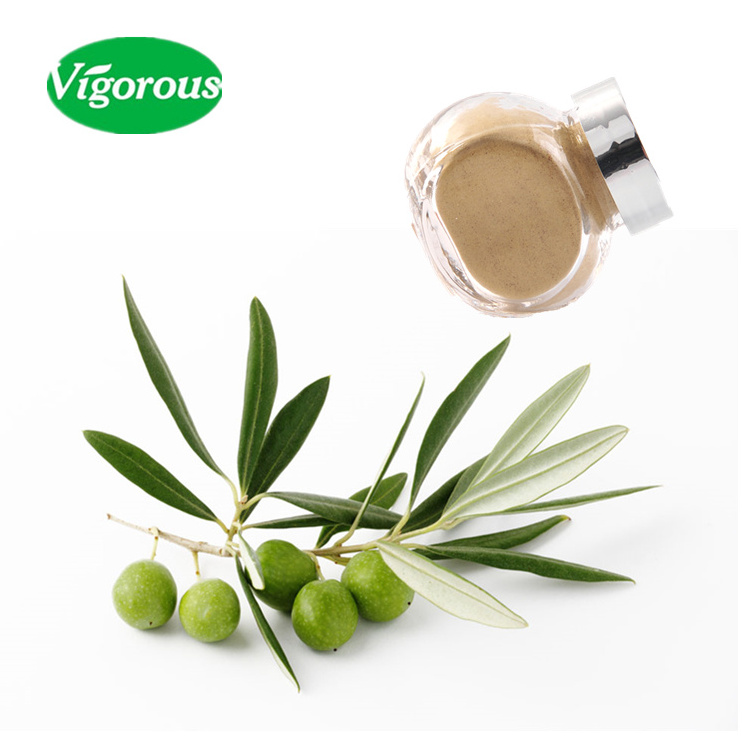 Vigorous supply organic olive leaf extract 30% Maslinic Acid