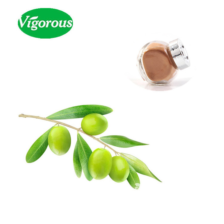 Vigorous supply organic olive leaf extract 30% Maslinic Acid