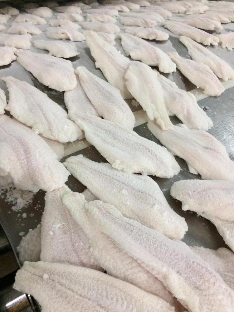 HIGH QUALITY - FROZEN PANGASIUS FILLET