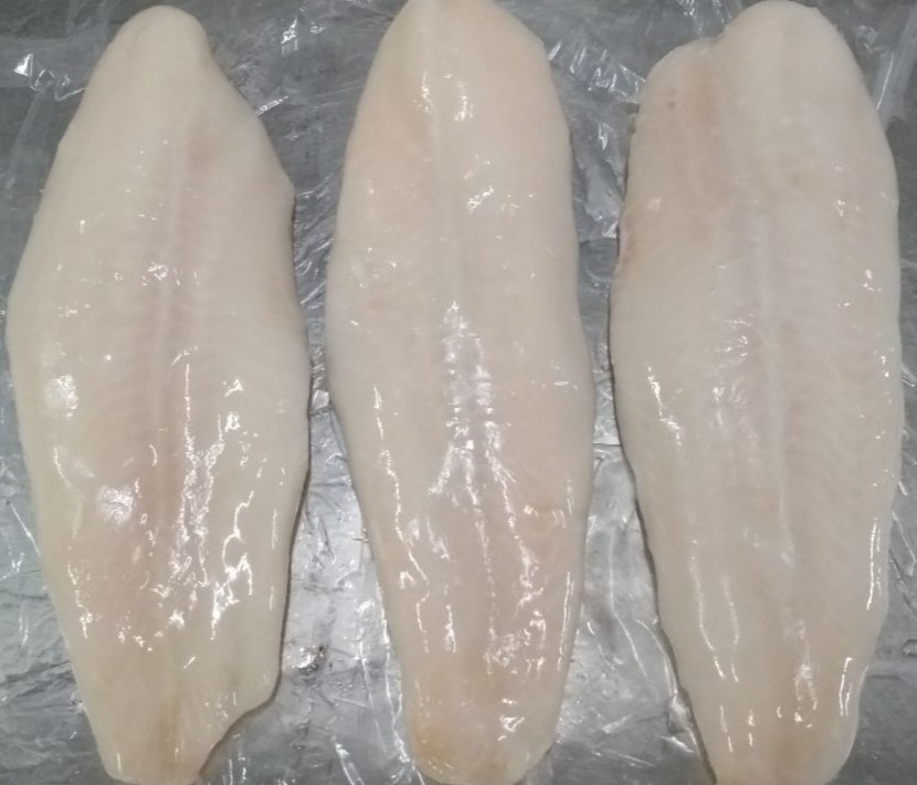 FROZEN PANGASIUS FILLETS FOR SALE