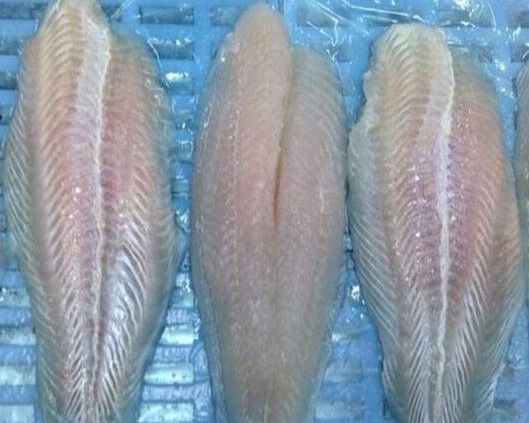 FROZEN PANGASIUS FILLETS FOR SALE