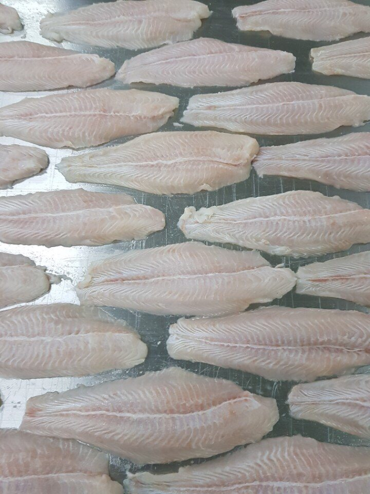 HIGH QUALITY - FROZEN PANGASIUS FILLET