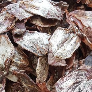 HIGH QUALITY - VIETNAM DRIED BLACK SQUID