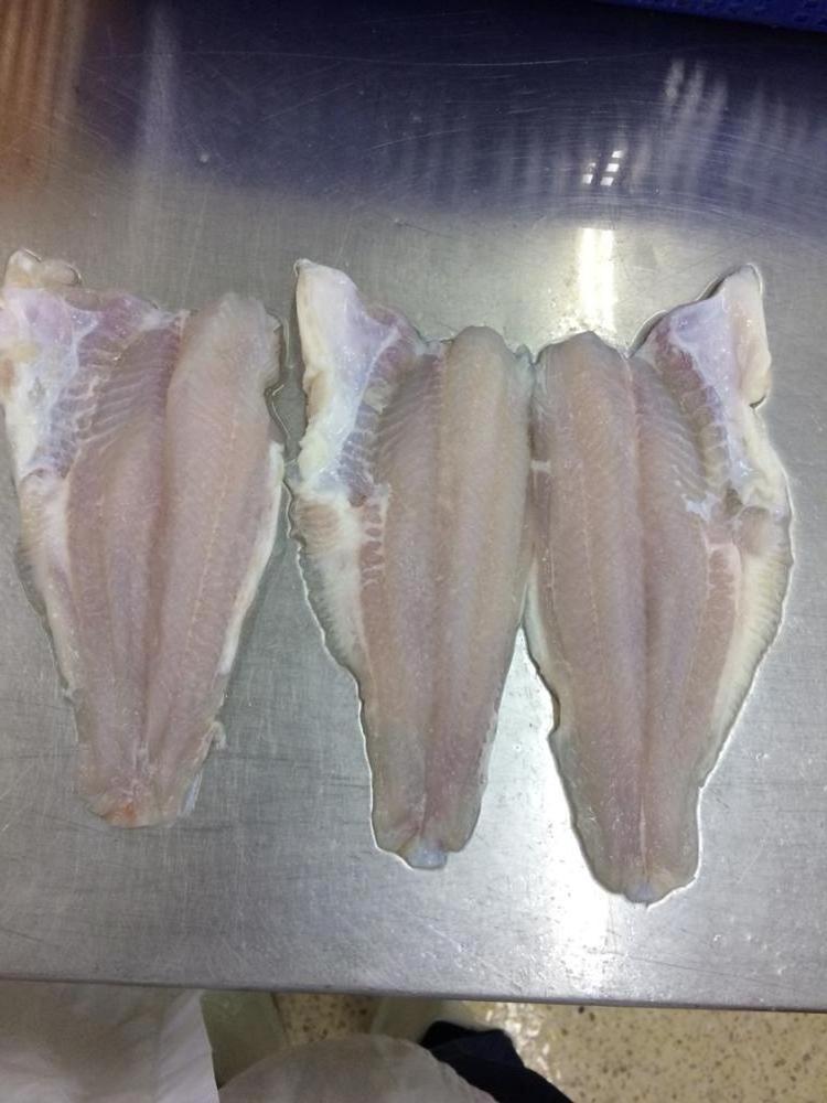 HIGH QUALITY - FROZEN PANGASIUS FILLET