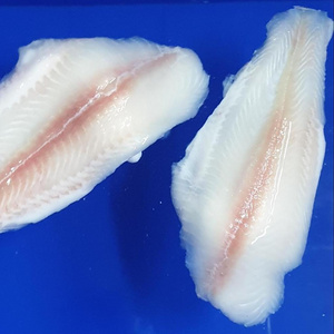 FROZEN PANGASIUS FILLETS FOR SALE