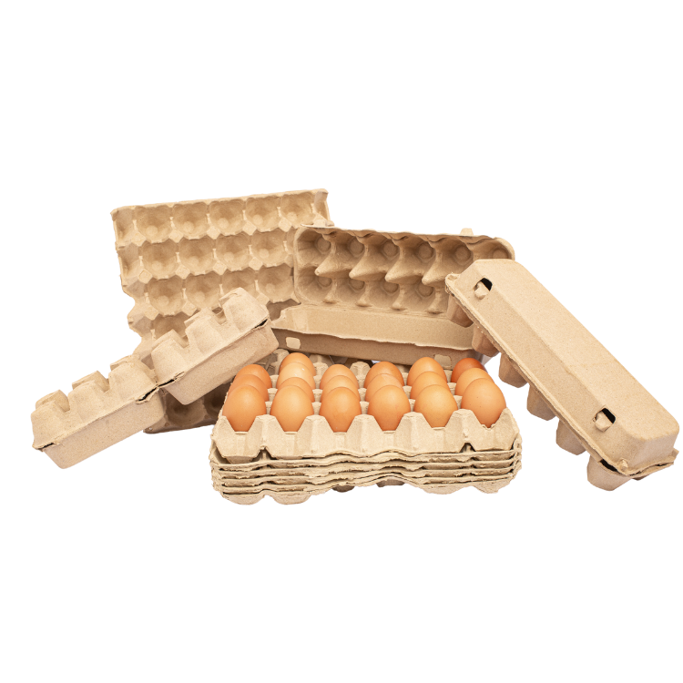 Best Price Eco-friendly Molded Paper Pulp 12 Egg Paper Quail Eggs Packing Tray Box Cartons For Egg Packaging Vietnam Factory