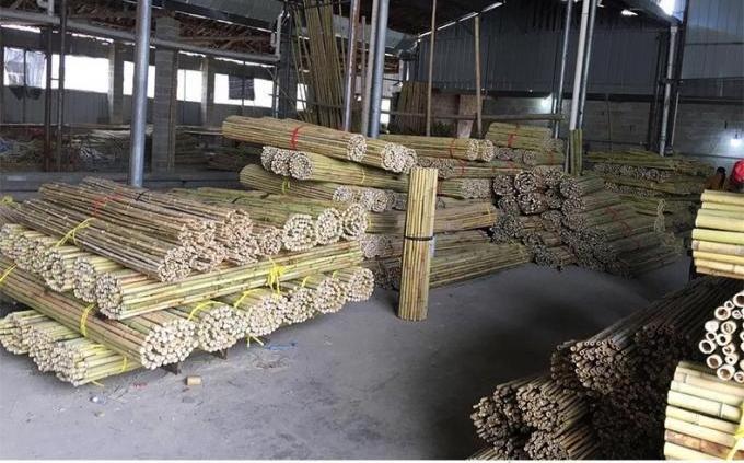 Vietnam Factory Bamboo Pole With Customized Size For Agriculture Bamboo Poles for Plants Garden Stakes