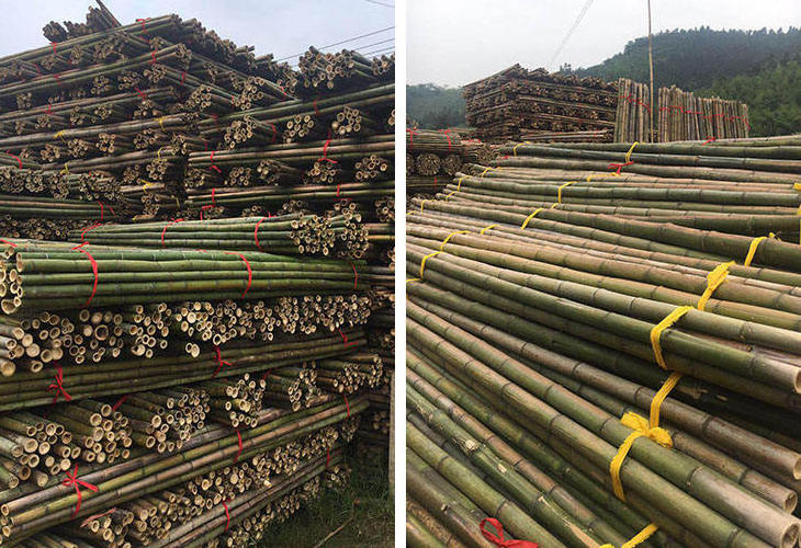 Vietnam Factory Bamboo Pole With Customized Size For Agriculture Bamboo Poles for Plants Garden Stakes