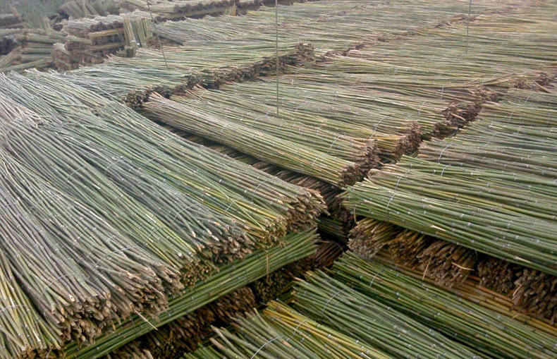 Vietnam Factory Bamboo Pole With Customized Size For Agriculture Bamboo Poles for Plants Garden Stakes