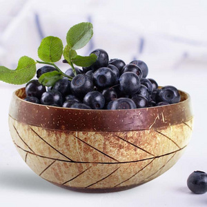 2024 100% Organic Decoration Dinner Set Tableware coconut bowl and spoon Vegan Decoration Customized Logo Polished Coconut Shell Bowl