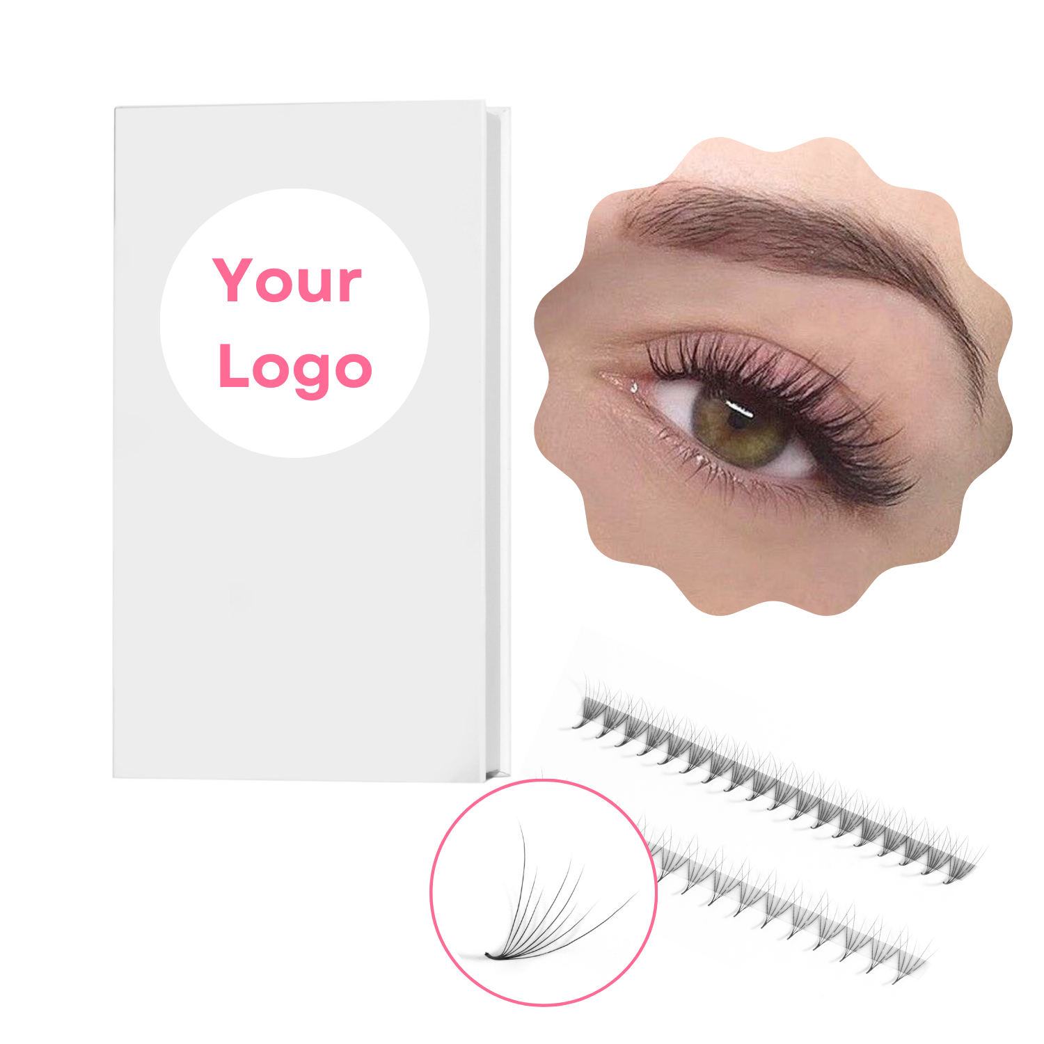 New Camellia Narrow Pre Made Loose Fans Eyelashes Extensions High Quality Private Logo Manufacturer DIY Lash Korean PBT