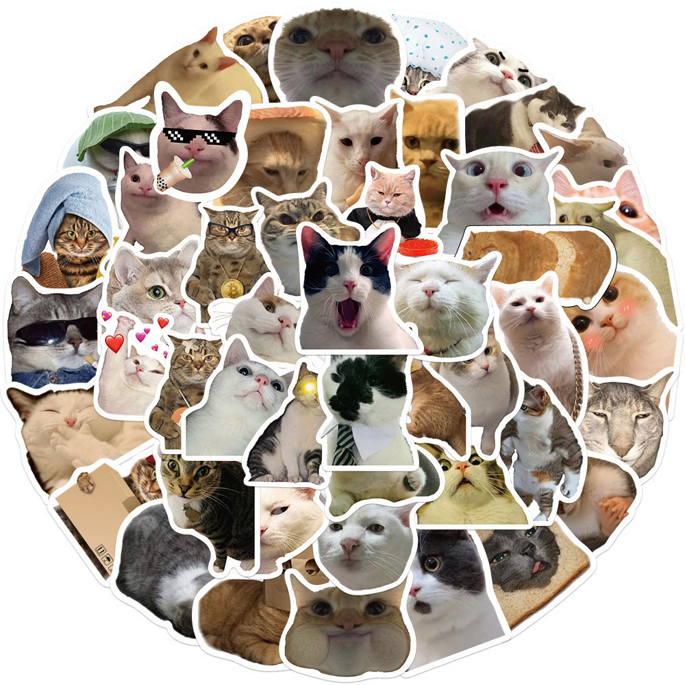 50PCS Funny Cat Stickers Vinyl Waterproof Decorations Stickers Animal Stickers  for Macbook  Skateboard