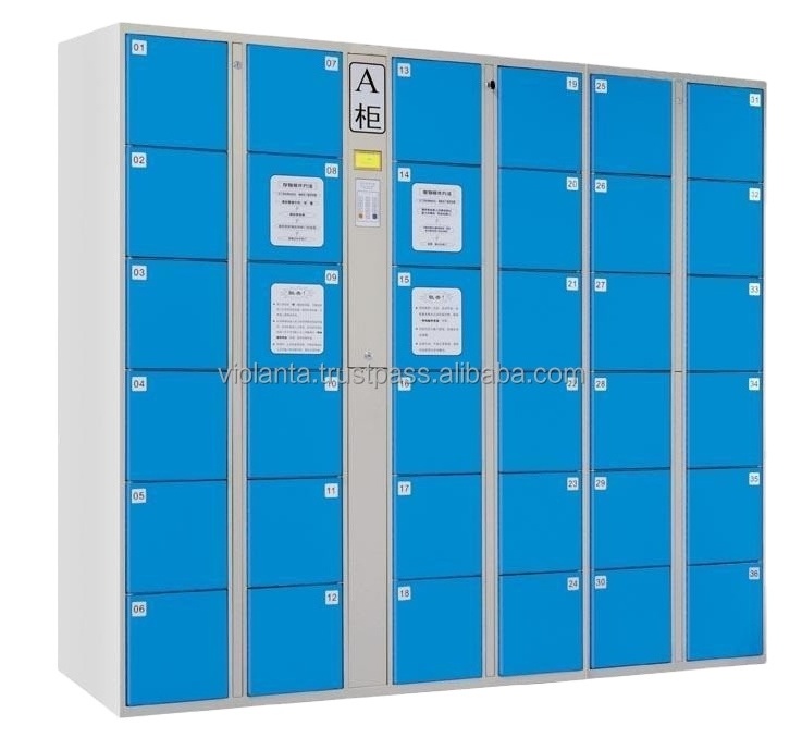 Secure storage locker for beach / swimming pool, wholesale prices great quality electronic lockers