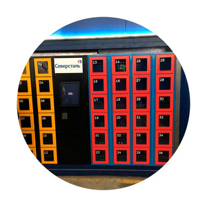 Secure storage locker for beach / swimming pool, wholesale prices great quality electronic lockers