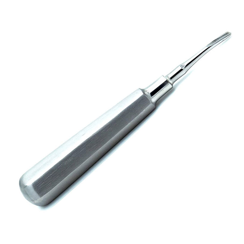 OEM Services Cheap Price Dental Teeth Cleaning Elevators / Dentist Surgical Instruments Stainless Steel Dental Elevators