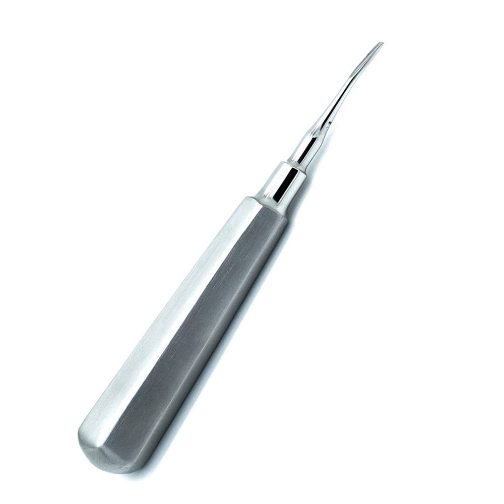 OEM Services Cheap Price Dental Teeth Cleaning Elevators / Dentist Surgical Instruments Stainless Steel Dental Elevators