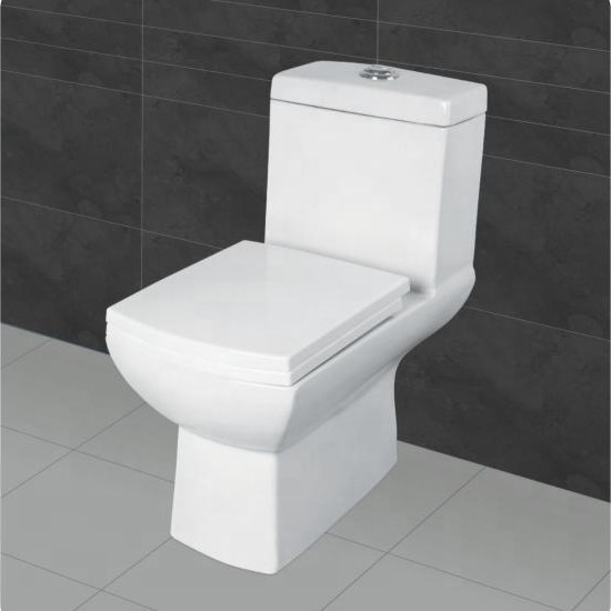 Indian Supplier Ceramic Classic Style One Piece Toilet Seat In Low Price For African Market Supply