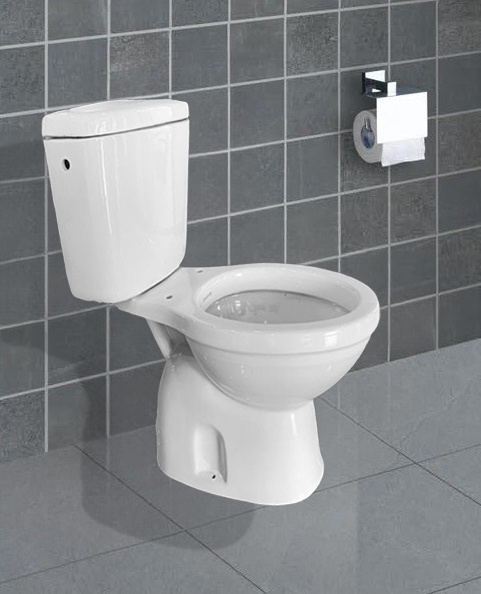 Affordable P-Trap Nigeria Toilet - Two-Piece Water Closet with Ceramic Bowl, Competitive Prices for African Wholesaler Importer