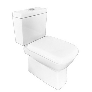 Affordable P-Trap Nigeria Toilet - Two-Piece Water Closet with Ceramic Bowl, Competitive Prices for African Wholesaler Importer