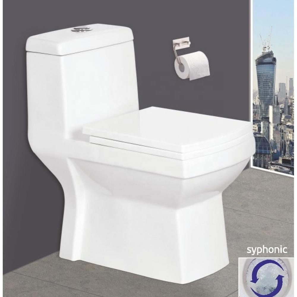 Ceramic Bathroom Toilet Sanitary Ware American Style Standard Toilet One Piece Toilet Water Closet European Western Commode Seat