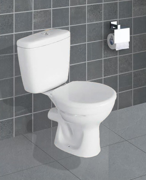 Affordable P-Trap Nigeria Toilet - Two-Piece Water Closet with Ceramic Bowl, Competitive Prices for African Wholesaler Importer