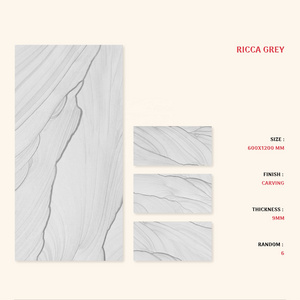 600X1200 mm Glazed Ceramic Porcelain Vitrified Wall Floor Tiles for Indoor Outdoor Elevation with Ricca Grey Design Series