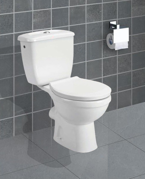 Affordable P-Trap Nigeria Toilet - Two-Piece Water Closet with Ceramic Bowl, Competitive Prices for African Wholesaler Importer