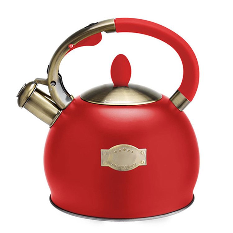 Painting Color Coating Design Stainless Steel Whistling Water Tea Kettle Stove Top Teapot With Handle Container kitchen tools