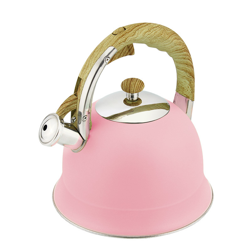 High Quality matte heat resistant coating whistling water tea kettle with wooden handle