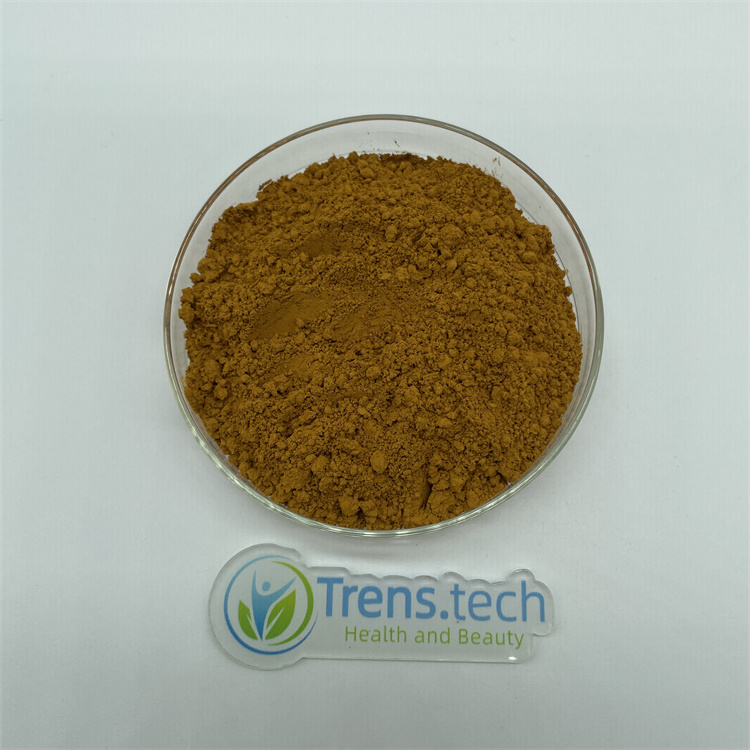 Lignin Alkali 99% High Quality CAS 8068-5-1 Lignin Powder