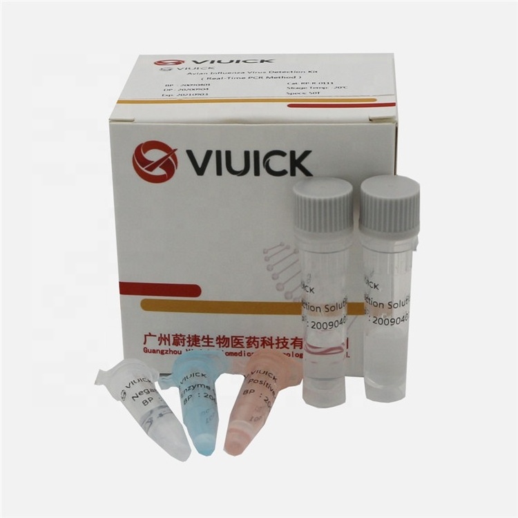 Bovine Adenovirus Type-3 BAV Realtime PCR rtpcr kit lyophilized cattle PCR test kit manufacturer