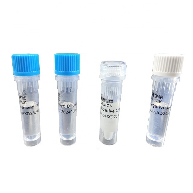 Detection Kit for Avian Influenza Virus H5 H7 H9 Real time PCR poultry lyophilized PCR test kit manufacturer