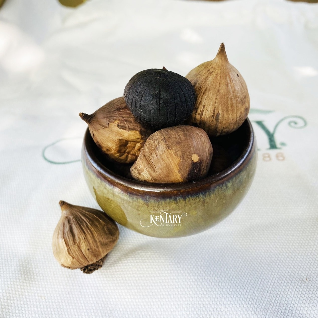 Bulk Solo Black Garlic Fermented Size 2cm Hight Quality 100% Nature Made in Vietnam Best Price Supper Food Non GMO