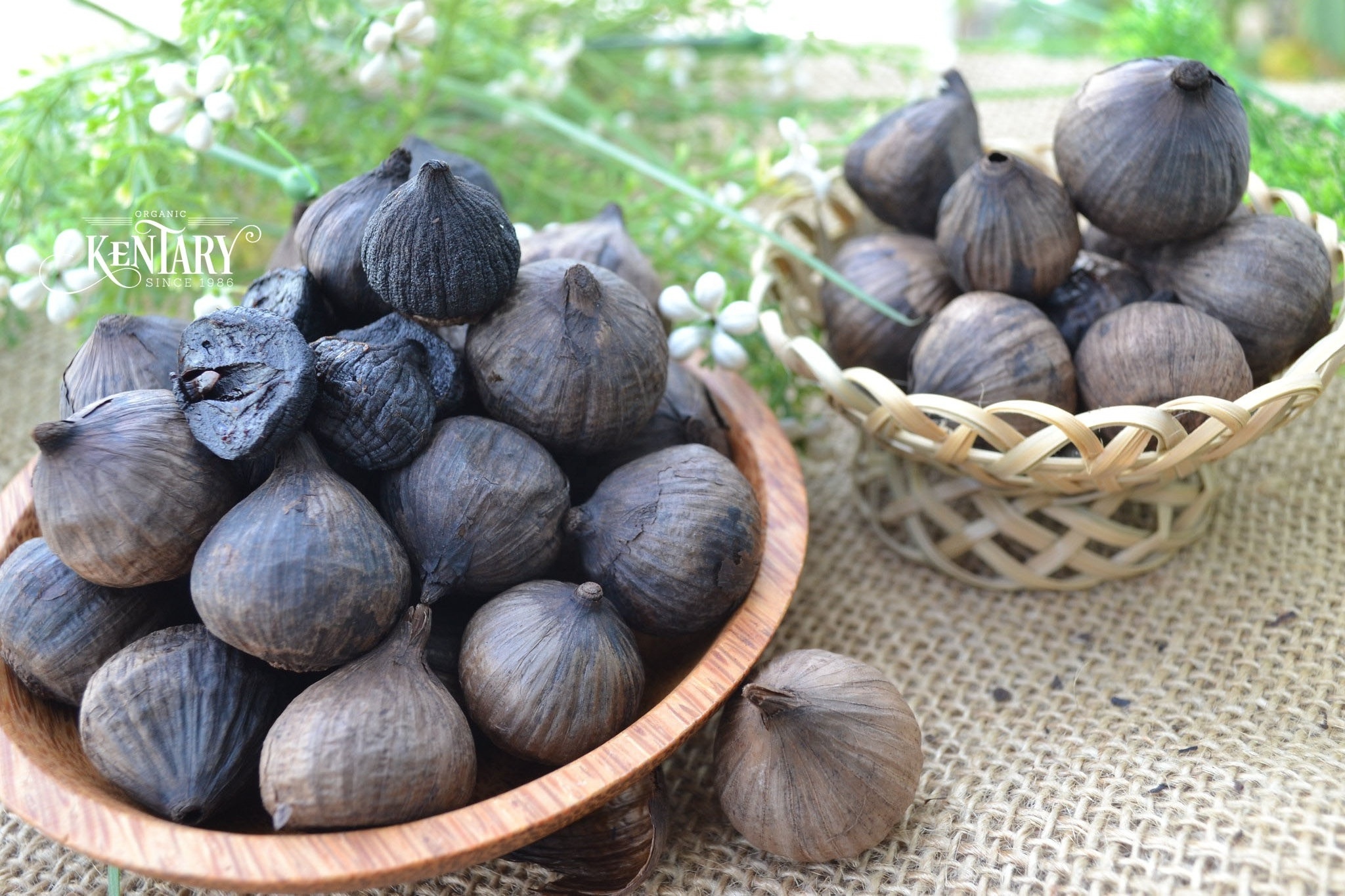 Solo Black Garlic Fermentation Easy Peel Hight Quality 100% Nature Made in Vietnam Best Price Supper Food Non GMO