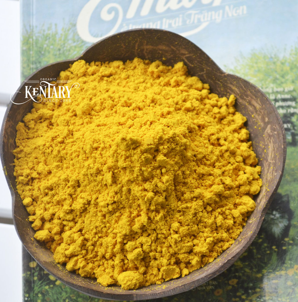 Supplements for Women and Men Made in Vietnam Best Price Supper Food Non GMO Turmeric Extract Powder with 97% Curcumin