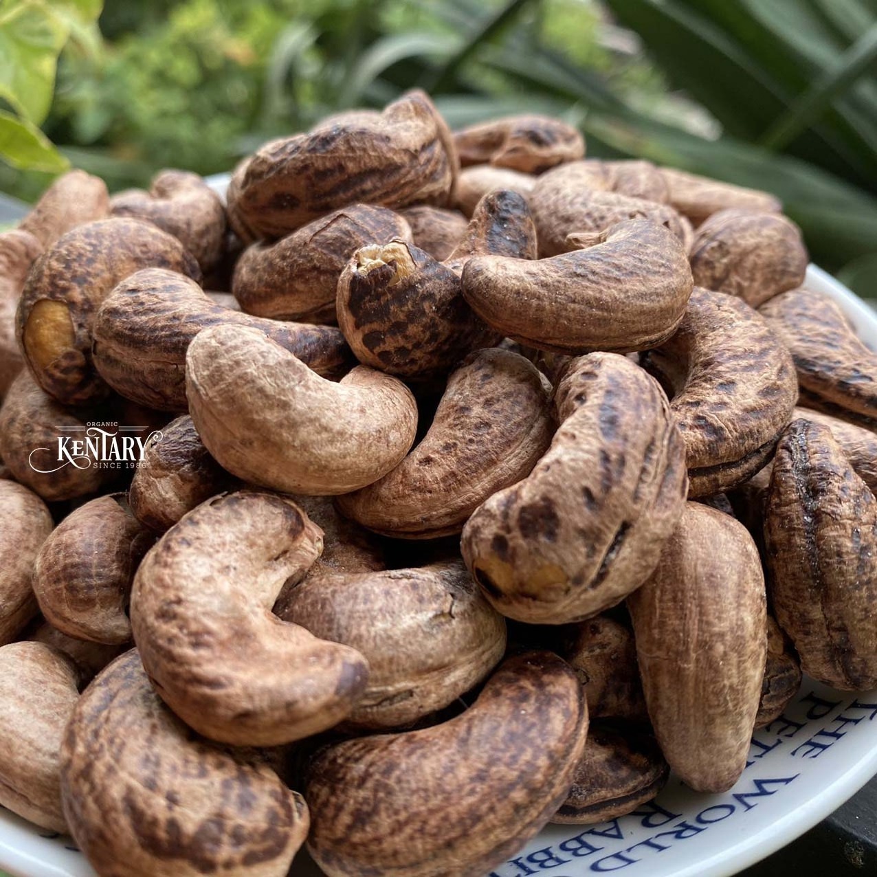 Bulk Roasted Whole Cashew Nuts With Salt W320 Hight Quality Best Price Made in Vietnam 100% Natural For Wholesale