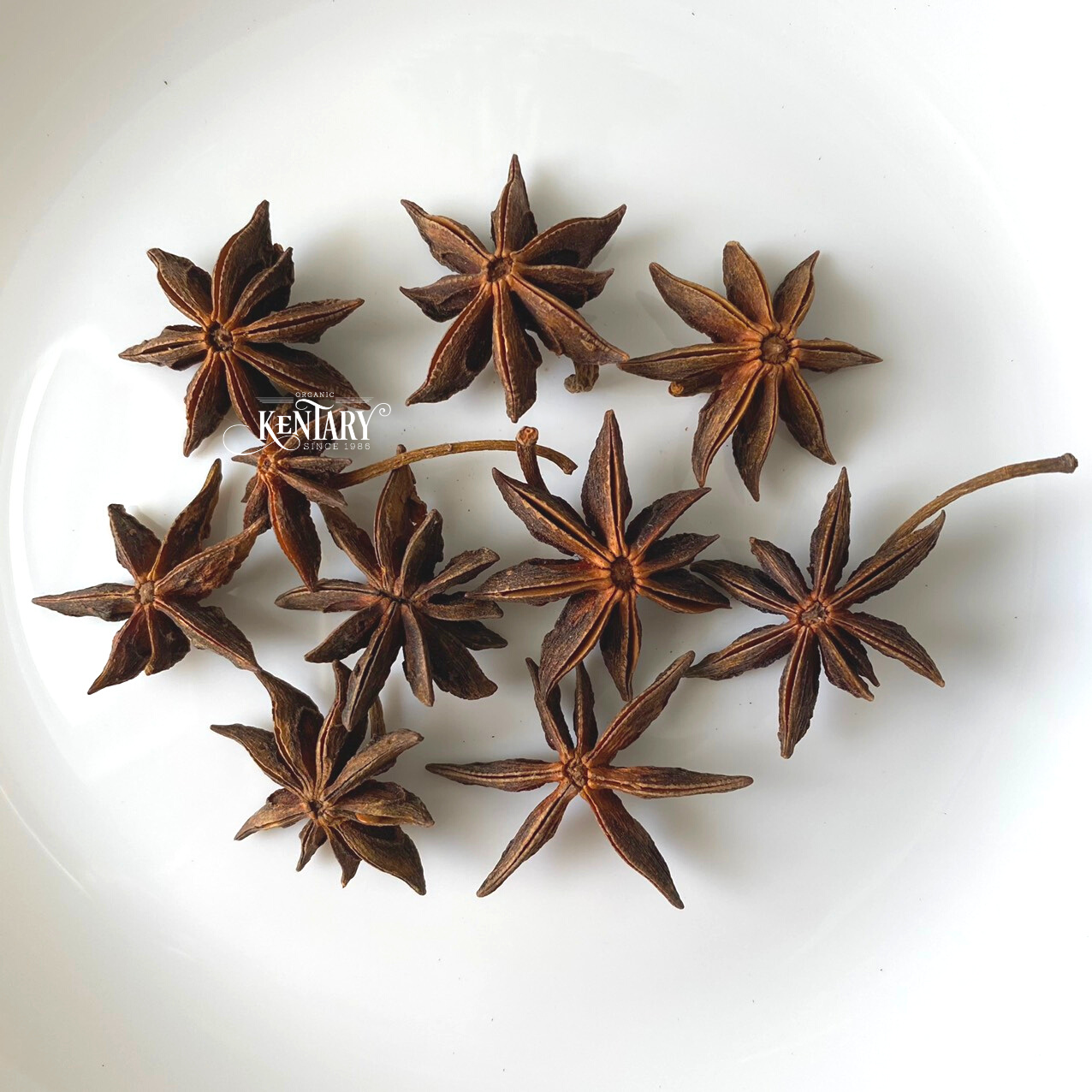 Wholesale Strong Flavor Spring Star Anise Hight Quality Spices Best Price Factory in Vietnam 100% Pure non GMO