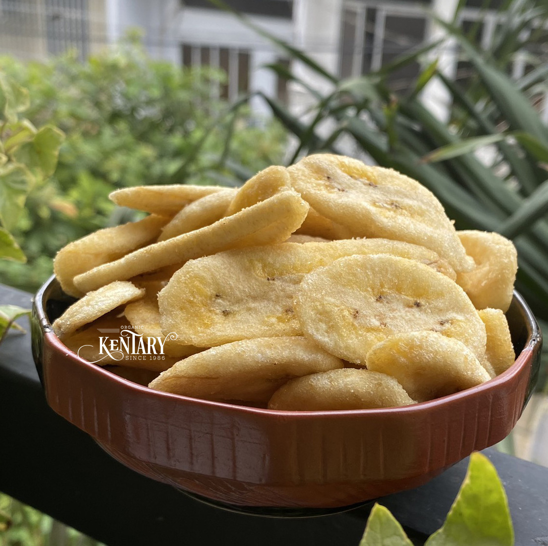 Bulk Sugar Free Fry Banana Chip 0.9 mm Slice Nature Sweet Tasty Healthy Prebiotic Best Price Made in Vietnam Wholesale