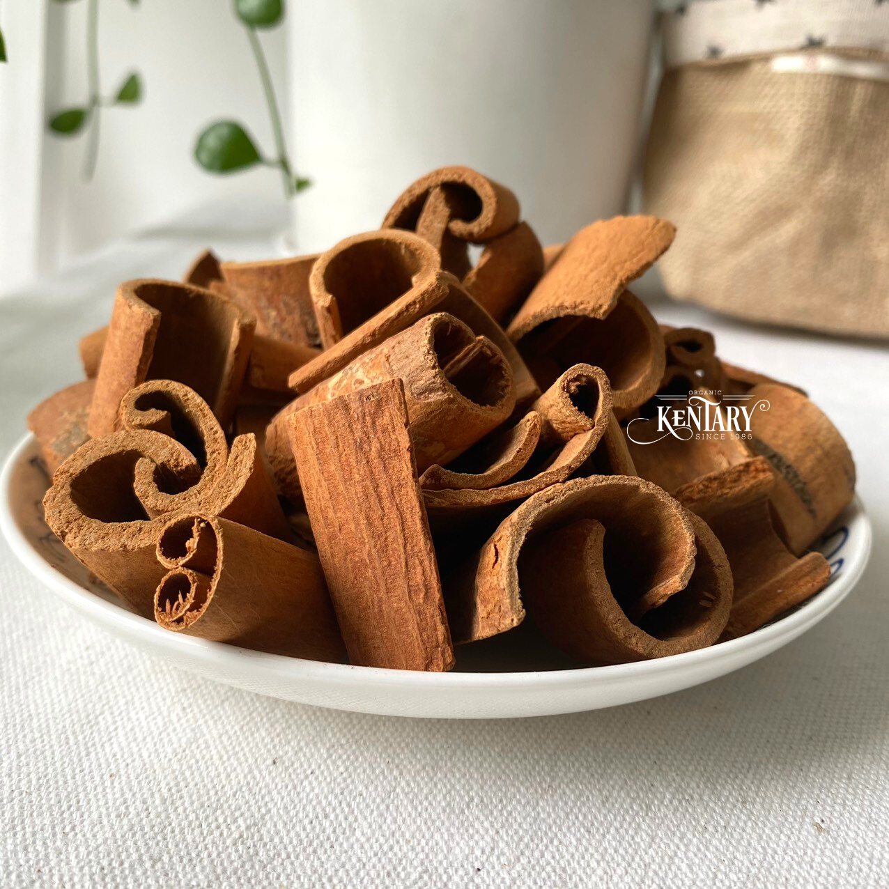 Great flavor of Vietnamese Cinnamon Powder High quality spice Best price on the market Bulk sale from Factory in Vietnam 100% pu