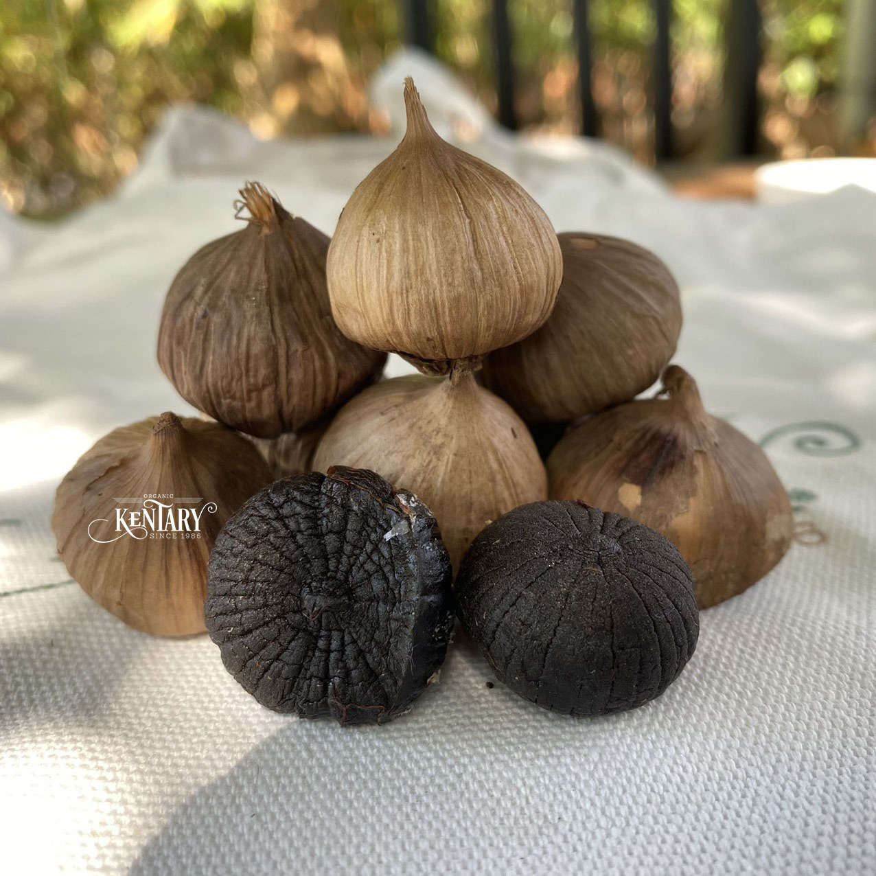 Solo Black Garlic Fermentation Size 1.5cm Sweet Hight Quality 100% Nature Made in Vietnam Best Price Supper Food Non GMO