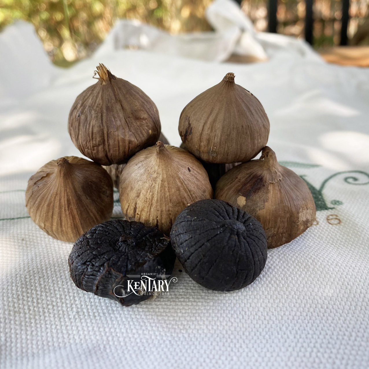 Bulk Solo Black Garlic Fermented Size 2cm Hight Quality 100% Nature Made in Vietnam Best Price Supper Food Non GMO