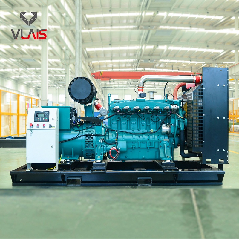 VLAIS 10kW/12.5kVA 110/220V/60Hz Three phase Silent nature gas generator set low gas consumption for residential office use