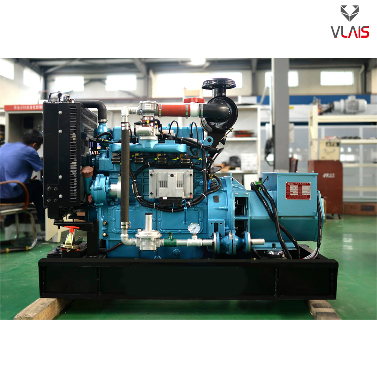 36kw 45kVA Natural Gas Generator with 60Hz Vlais Engine CE Approved Brushless Pure Copper Alternator